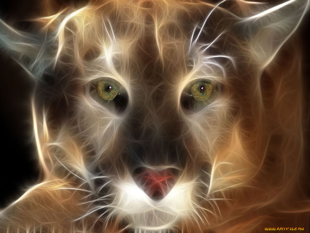 3, , animals, 